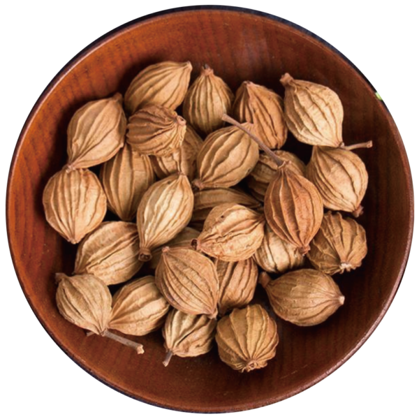 草果 / Tsaoko Amomum Fruit 50g /200