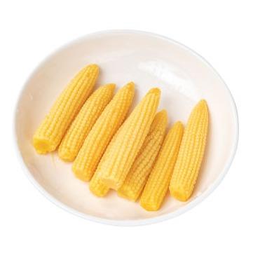 25955