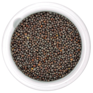 WeChatWorkScreenshot_6160aaab-dc1b-42a3-aacb-26a5ef2d1d48